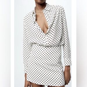 Zara Black and White Polka Dot Skirt